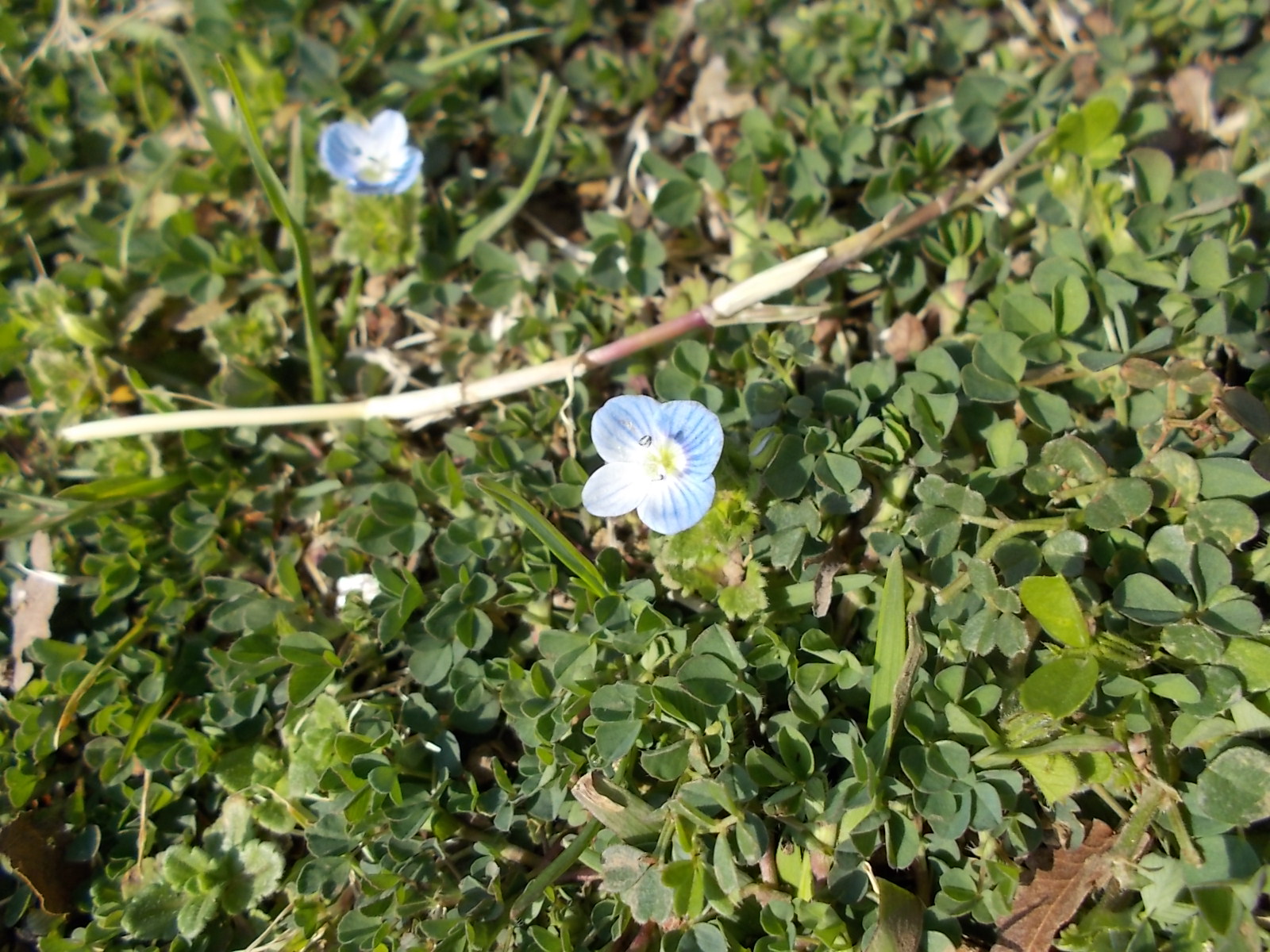 快晴 でした 北鹿浜公園